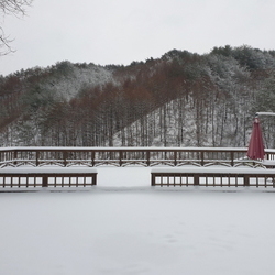 3월 1일 대설