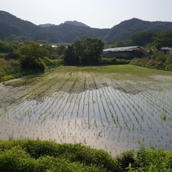 하루하루