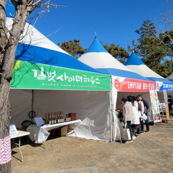 홍천사과축제(제7회)