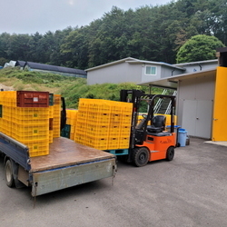 또다시 내년 추석을 기다리며...