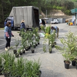 주변 화단 정리작업