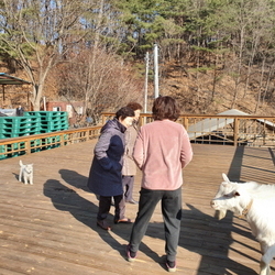 겨울-풍경