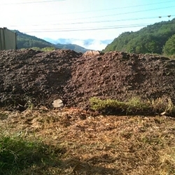 사과 거름
