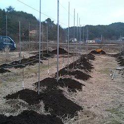 거름내기-계속