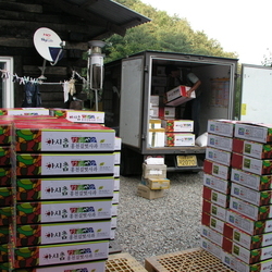 사과 배송
