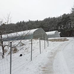 겨울 풍경
