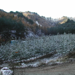 입동, 서설