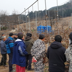 전정교육