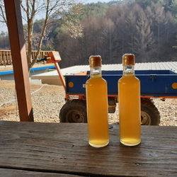 사과식초