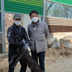 바비가 온 날