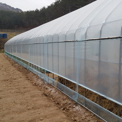 병아리 겨울나기