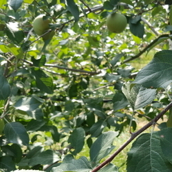 여름-일상(4)