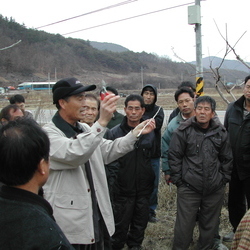 새해 사과 교육