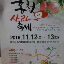 제1회 홍천사과축제