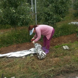 반사필름 걷기
