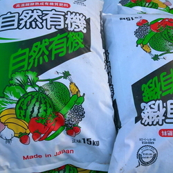 집 앞 사과원 거름